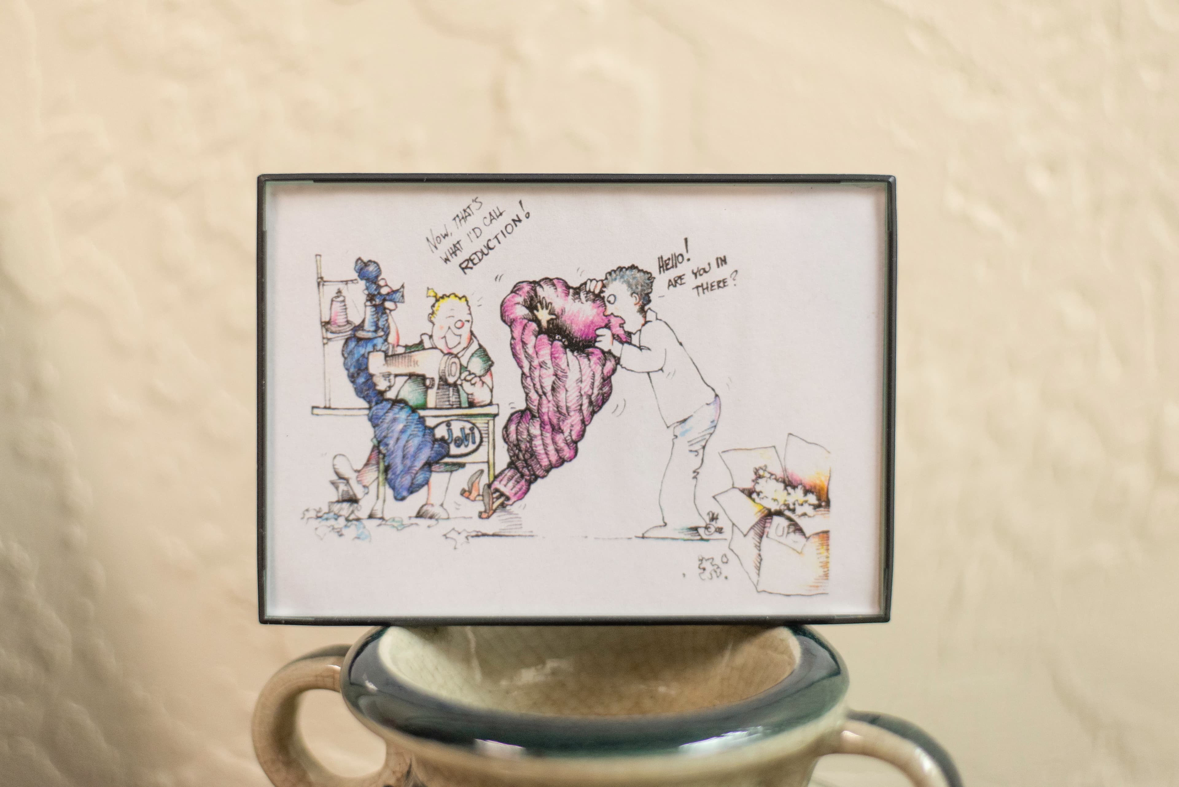 Photo of a framed comic depicting a person at a sewing machine saying "Now THAT's what I'd call REDUCTION!" producing a giant compression garment and another person peering into another such compression garment with feet sticking out of the bottom and shouting "Hello! Are you in there?"