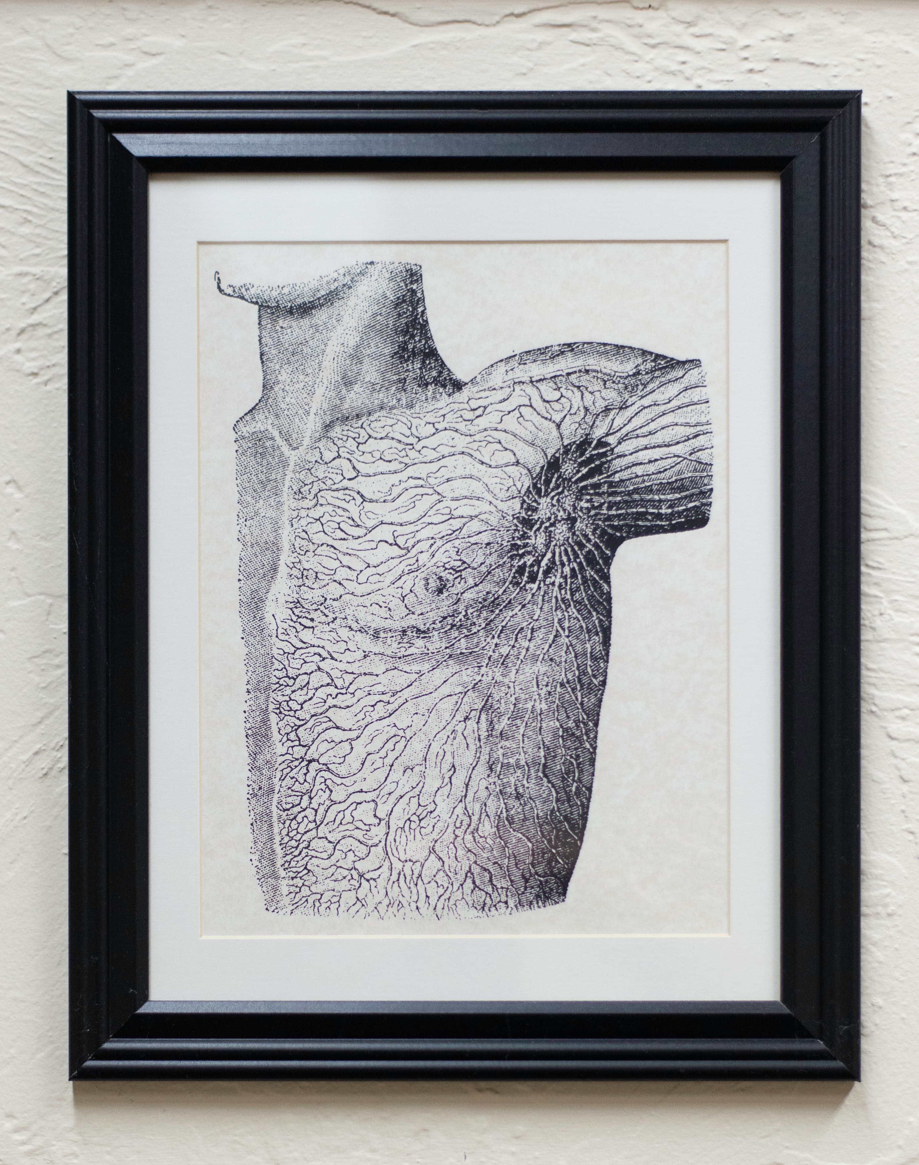 A framed anatomical illustration of the major lymphatic vessels of the chest and axillary lymph nodes.